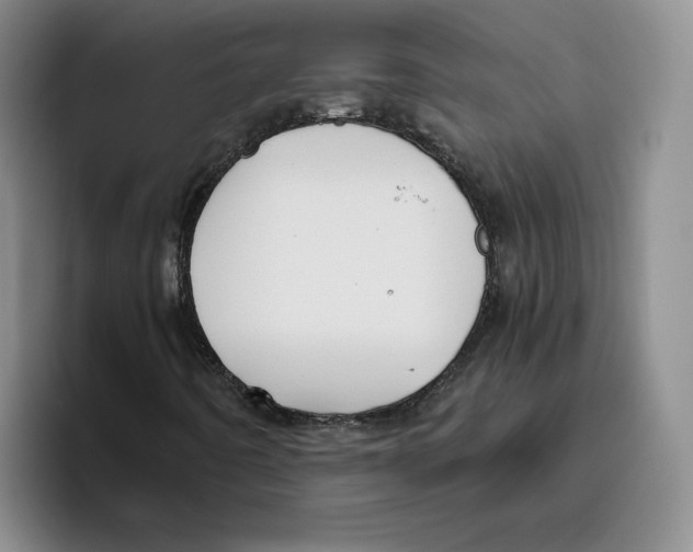 X0000096401442200802211153