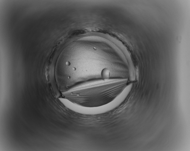 X0000096401444200802211153