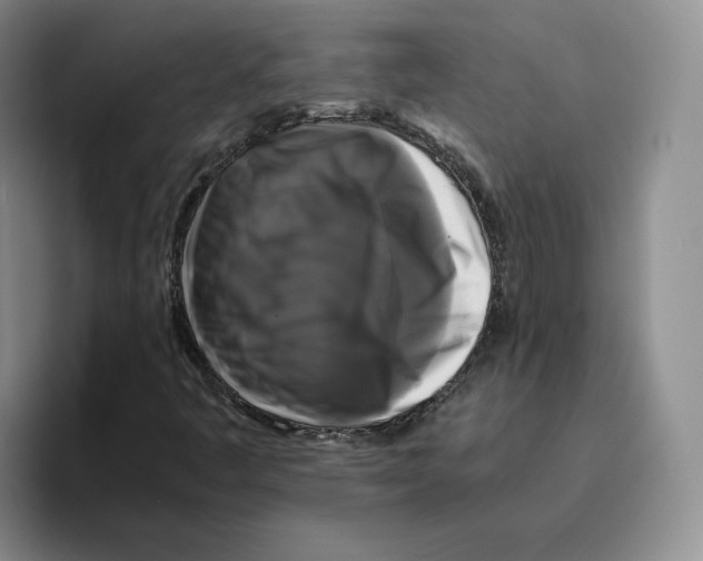 X0000096401445200802211153