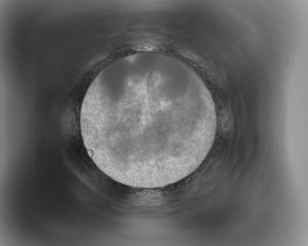 X0000096401446200802211153