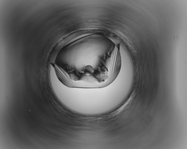 X0000096401449200802211153