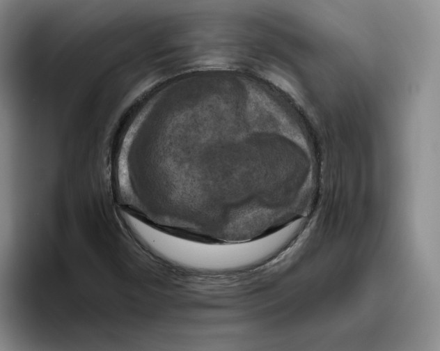 X0000096401450200802211153