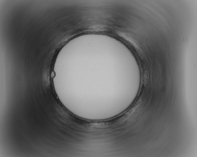 X0000096401451200802211153