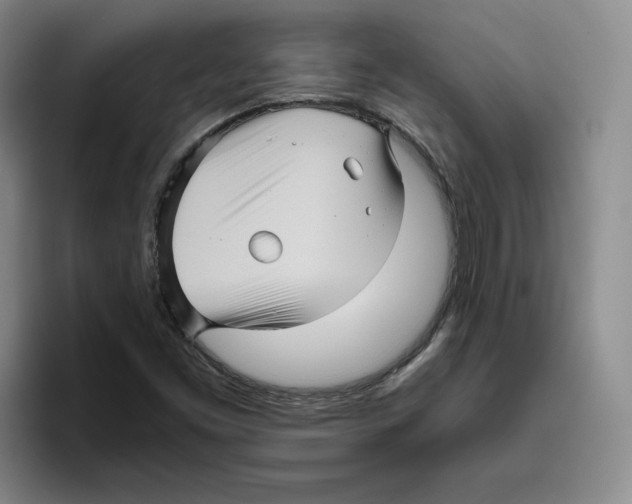 X0000096401453200802211153