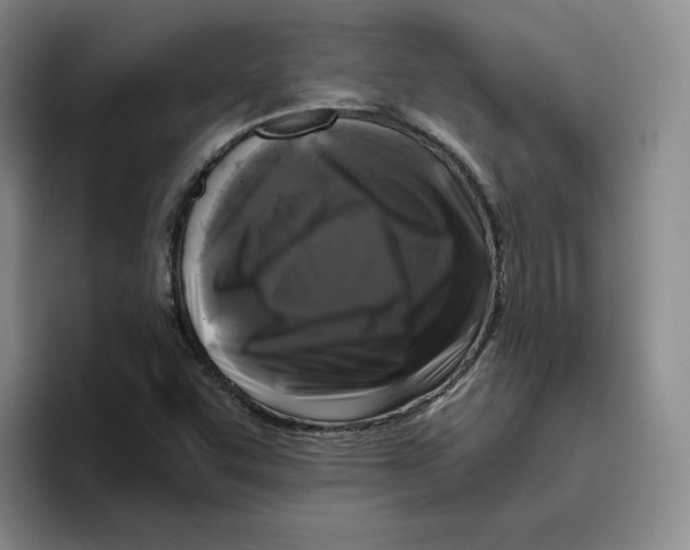 X0000096401455200802211153