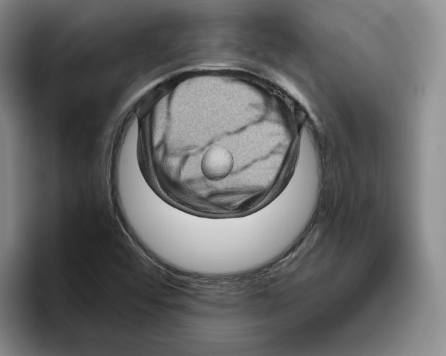 X0000096401456200802211153