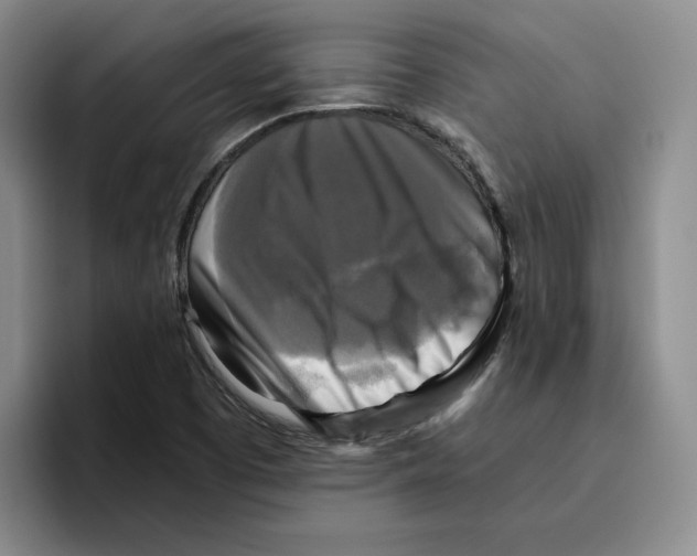 X0000096401457200802211153