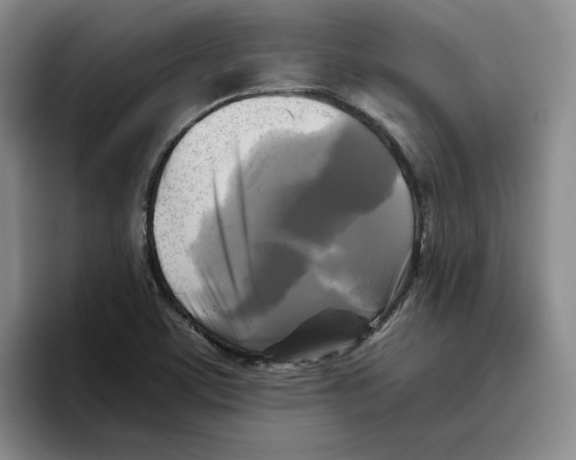 X0000096401459200802211153