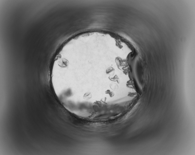 X0000096401461200802211153