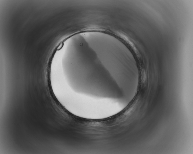 X0000096401463200802211153