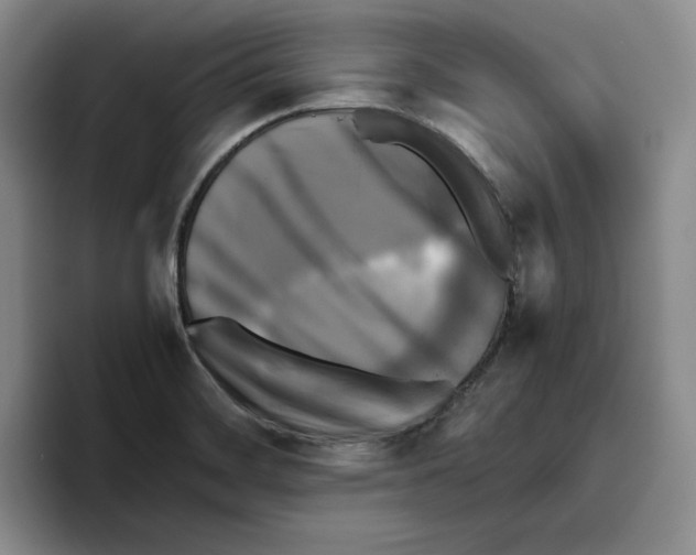 X0000096401468200802211153