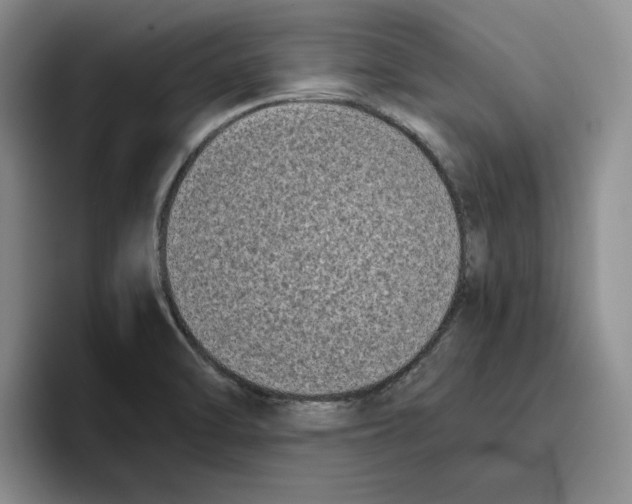 X0000096401470200802211153