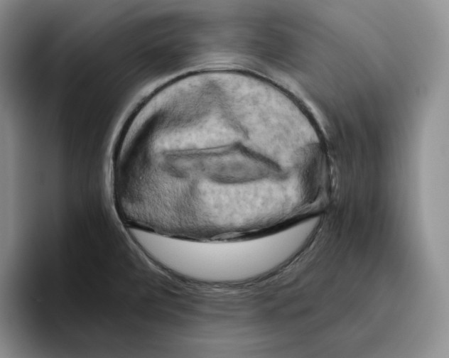 X0000096401472200802211153