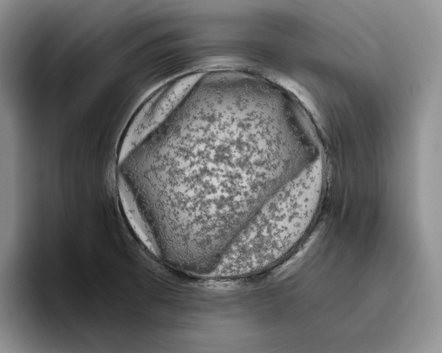 X0000096401473200802211153