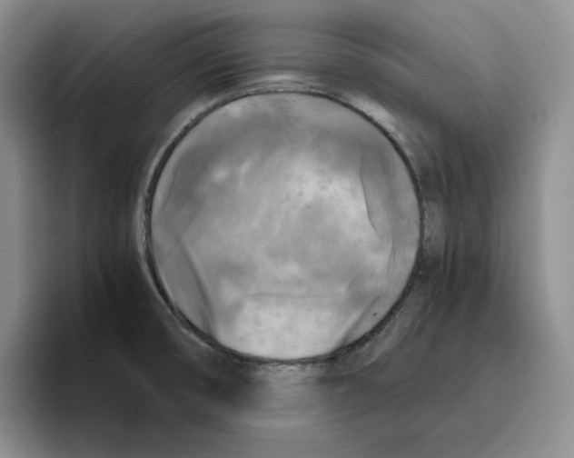 X0000096401474200802211153