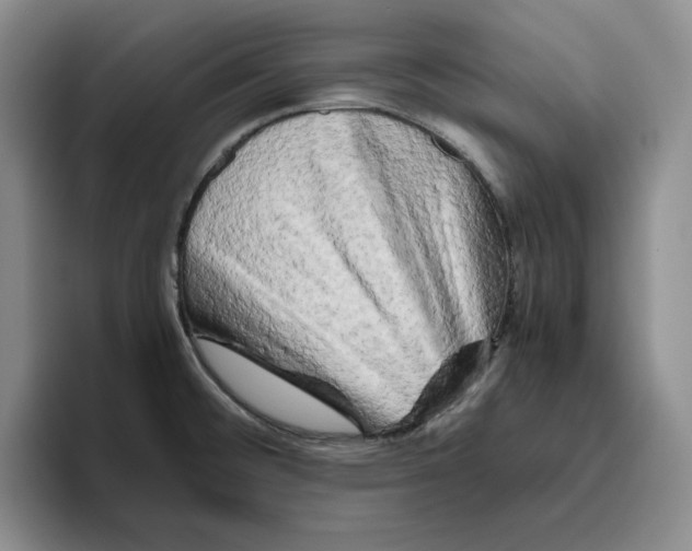 X0000096401476200802211153