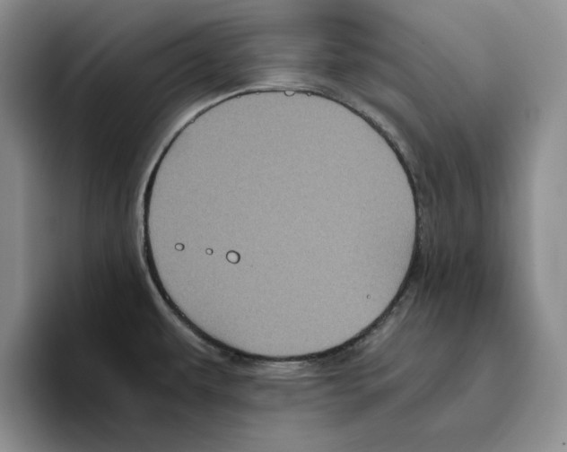 X0000096401479200802211153