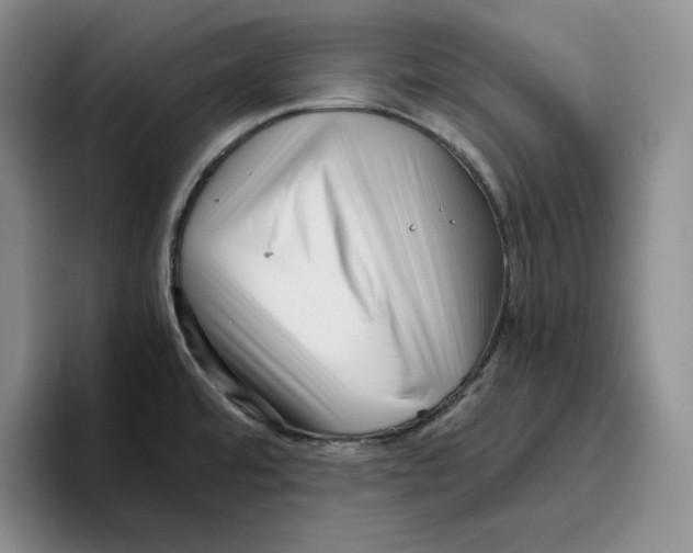 X0000096401480200802211153