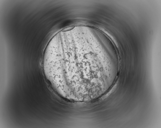 X0000096401481200802211153