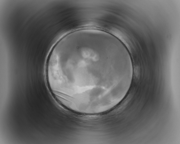 X0000096401482200802211153