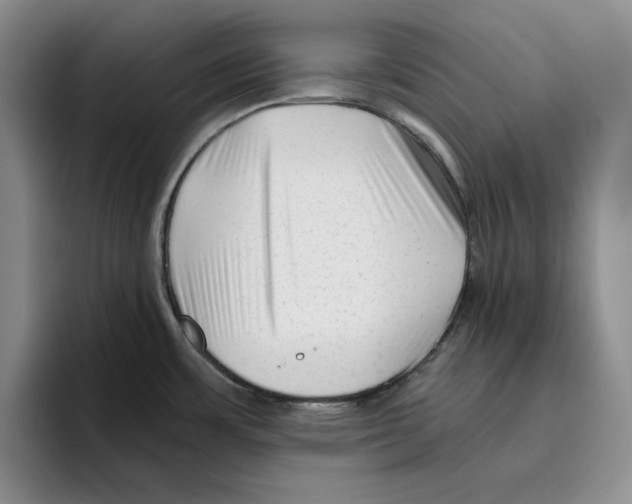 X0000096401483200802211153