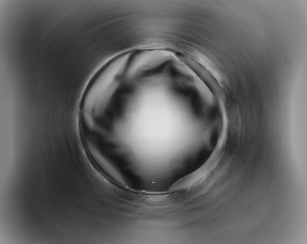 X0000096401484200802211153