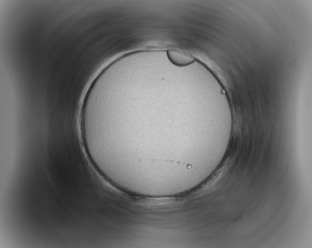 X0000096401486200802211153