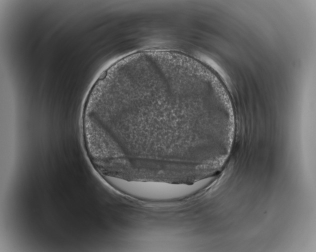 X0000096401487200802211153