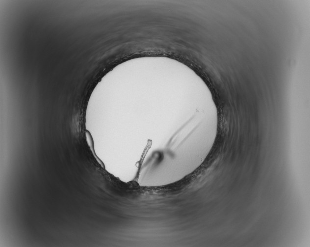 X0000096401490200802211152