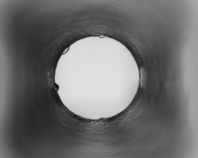 X0000096401491200802211152