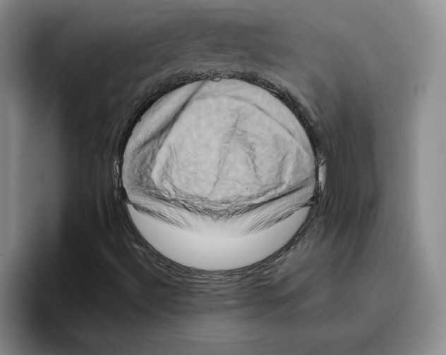 X0000096401492200802211152