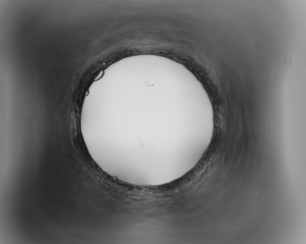 X0000096401493200802211152