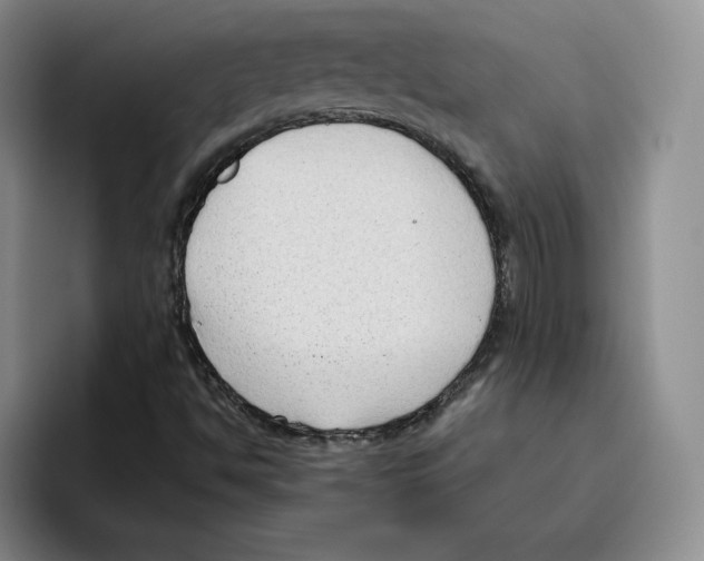 X0000096401494200802211152