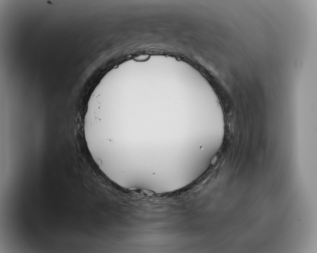 X0000096401495200802211152