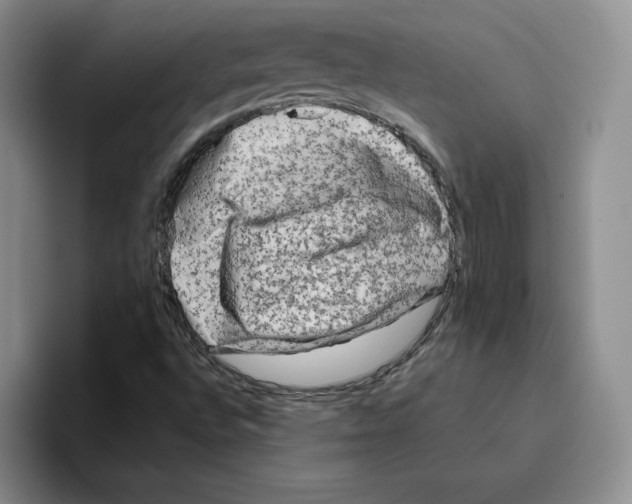 X0000096401496200802211152