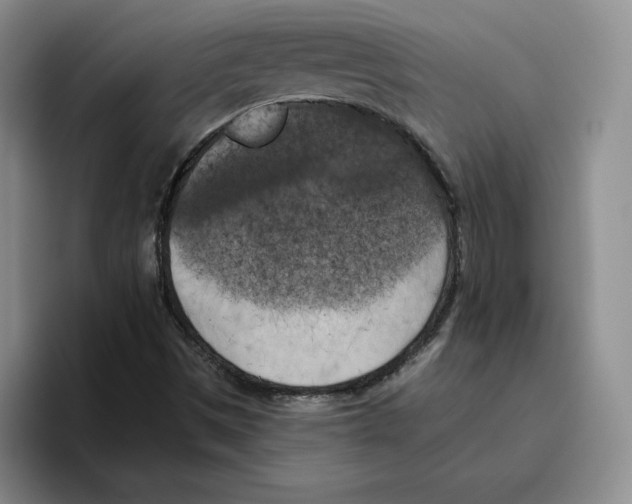 X0000096401497200802211152