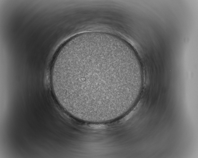 X0000096401498200802211152