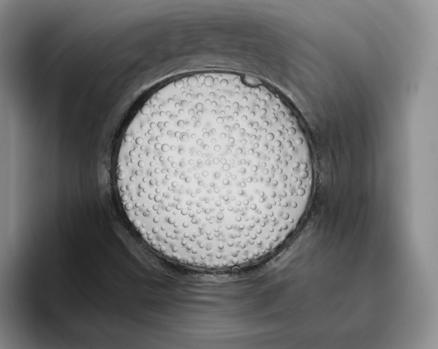 X0000096401499200802211152