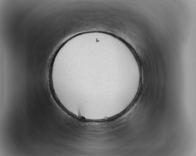 X0000096401500200802211152