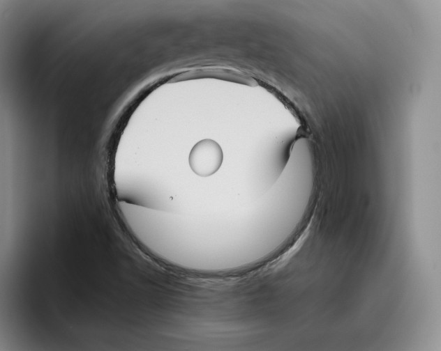 X0000096401502200802211152