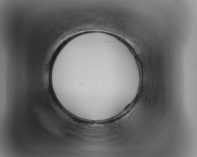 X0000096401503200802211152