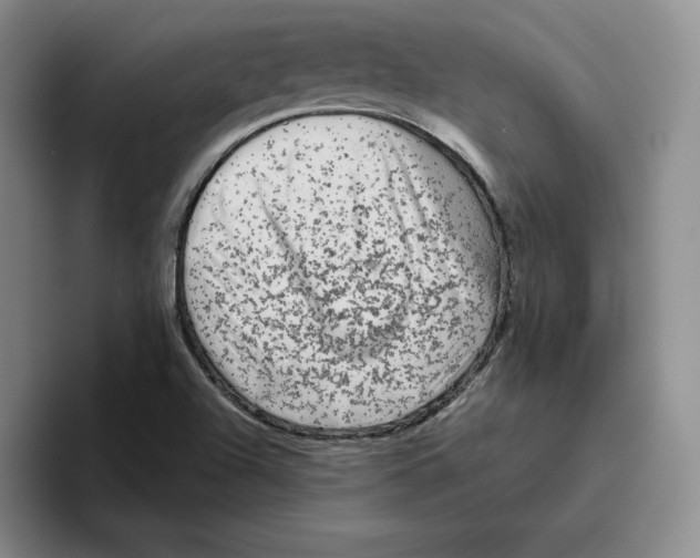 X0000096401504200802211152