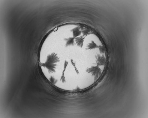 X0000096401505200802211152