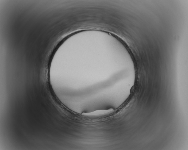 X0000096401507200802211152