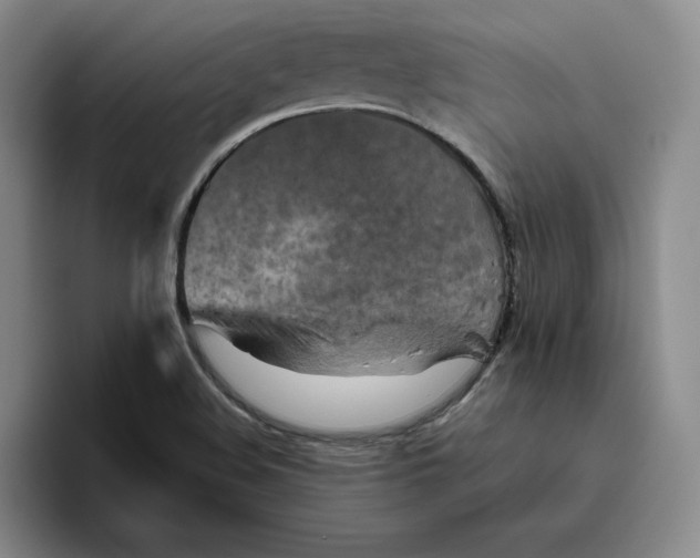 X0000096401508200802211152