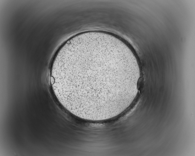 X0000096401509200802211152