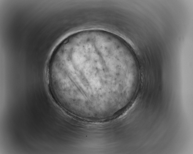 X0000096401510200802211152