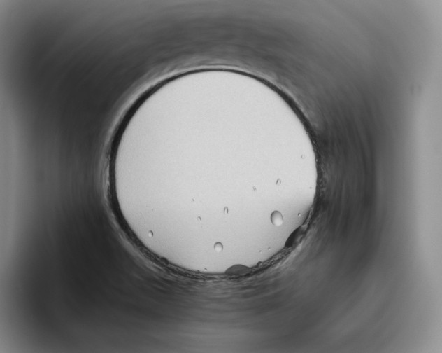 X0000096401511200802211152