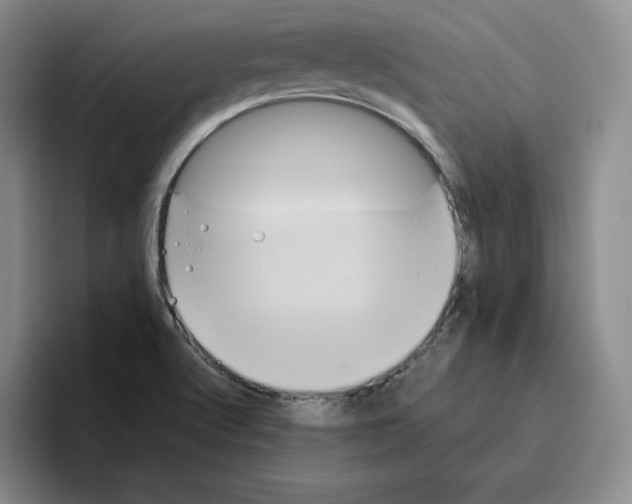 X0000096401512200802211152