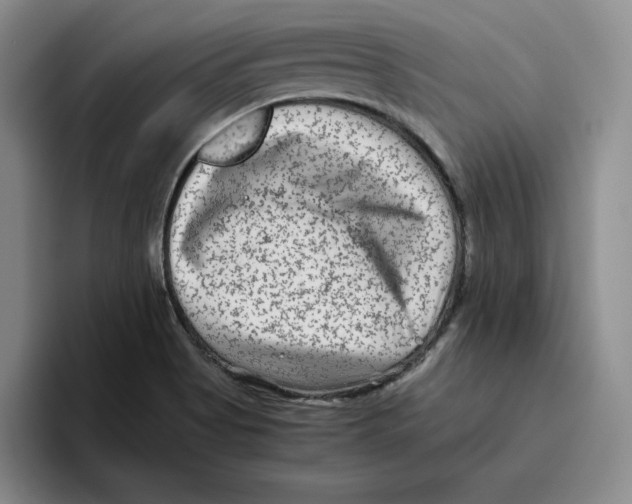 X0000096401513200802211152